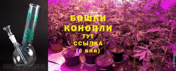 стафф Дмитров