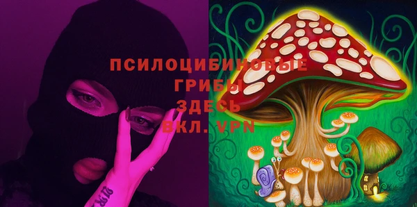 PSILOCYBIN Дмитриев